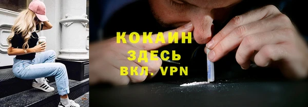прущие крисы Киренск