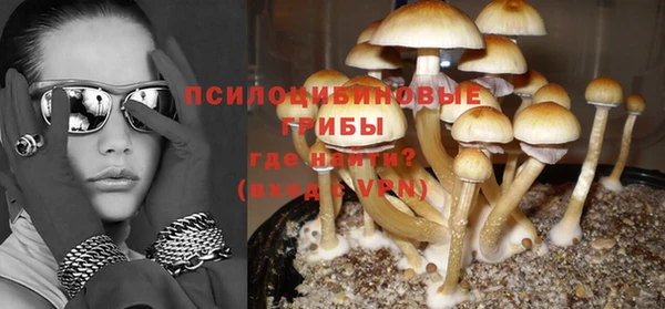винт Карпинск