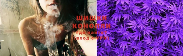 прущие крисы Киренск
