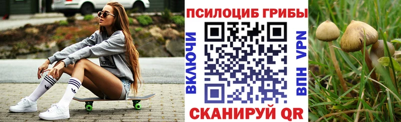 купить  цена  Красавино  Галлюциногенные грибы Psilocybine cubensis 