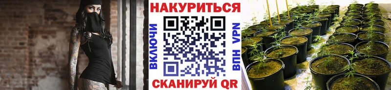 Канабис Bruce Banner  Красавино 